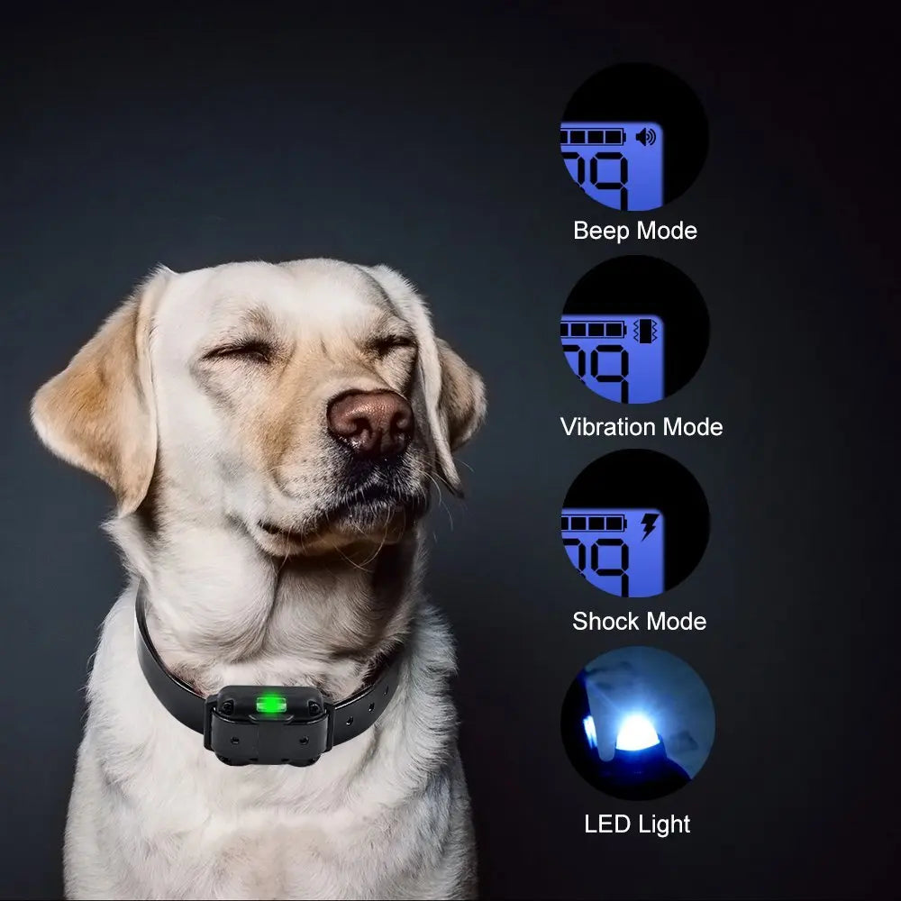 Electric Pet Dog Training Collar Shock Training Collar Electronic Remote Control Waterproof Rechargeable