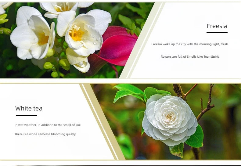 17 Flavors 10ml Essential Oils For Aroma Diffuser AirHumidifier Home Water-soluble Lavender Rose Eucalyptus White Peach Oolong