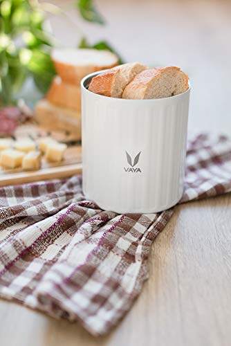 Preserve 300 ml - Vacuum Insulated Stainless Steel Meal Container, Salad Box, Meal Carrier, Portable Lunch Box, Fruit Box, 1 x 300 ml