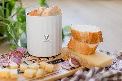 Preserve 300 ml - Vacuum Insulated Stainless Steel Meal Container, Salad Box, Meal Carrier, Portable Lunch Box, Fruit Box, 1 x 300 ml