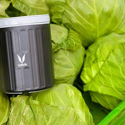Preserve 500 ml - Vacuum Insulated Stainless Steel Meal Container, Salad Box, Meal Carrier, Portable Lunch Box, Fruit Box, 1 x 500 ml