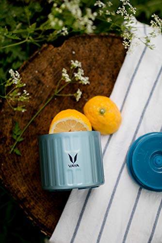 Preserve 300 ml - Vacuum Insulated Stainless Steel Meal Container, Salad Box, Meal Carrier, Portable Lunch Box, Fruit Box, 1 x 300 ml