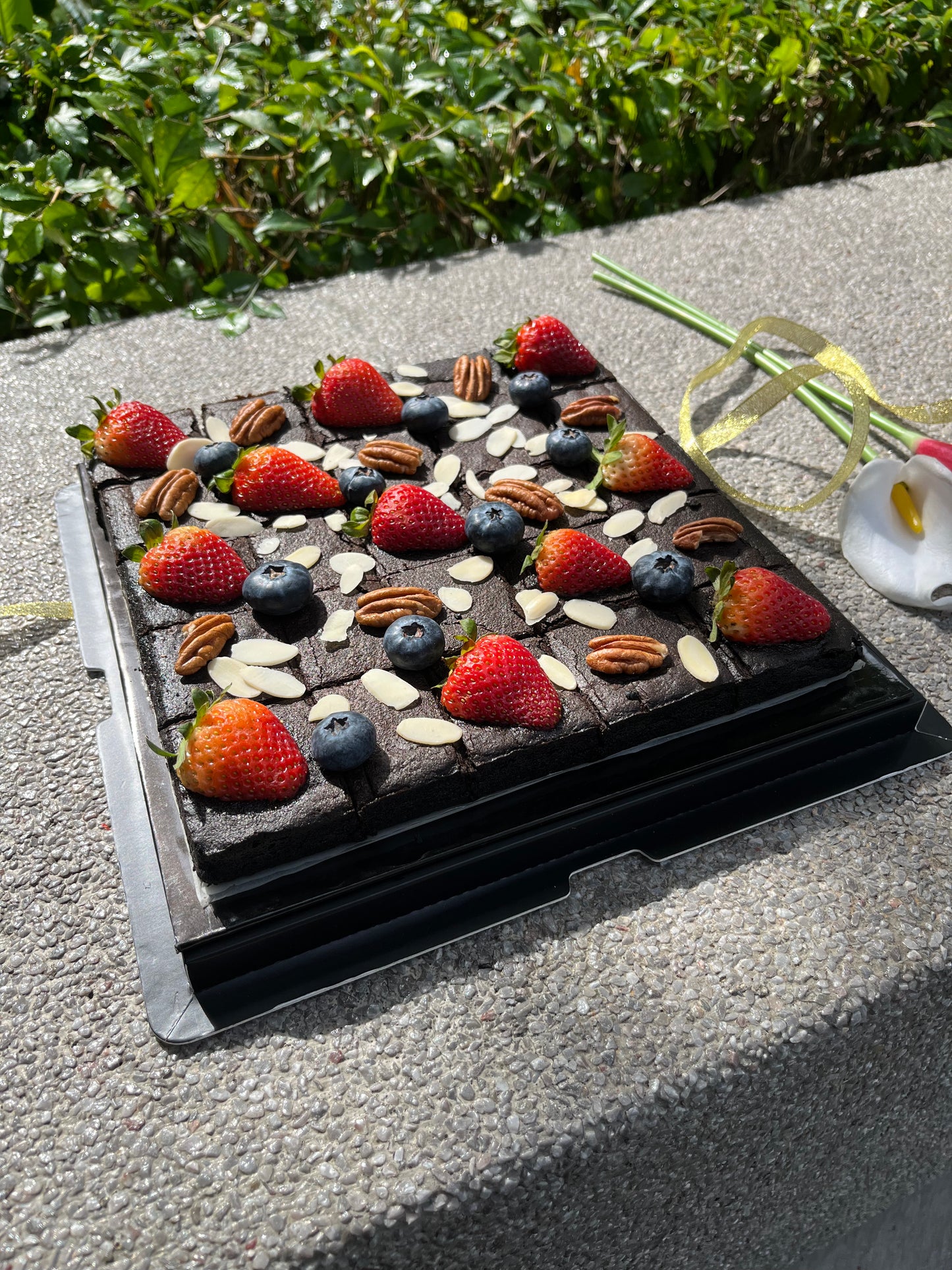Sasha’s Signature Brownies