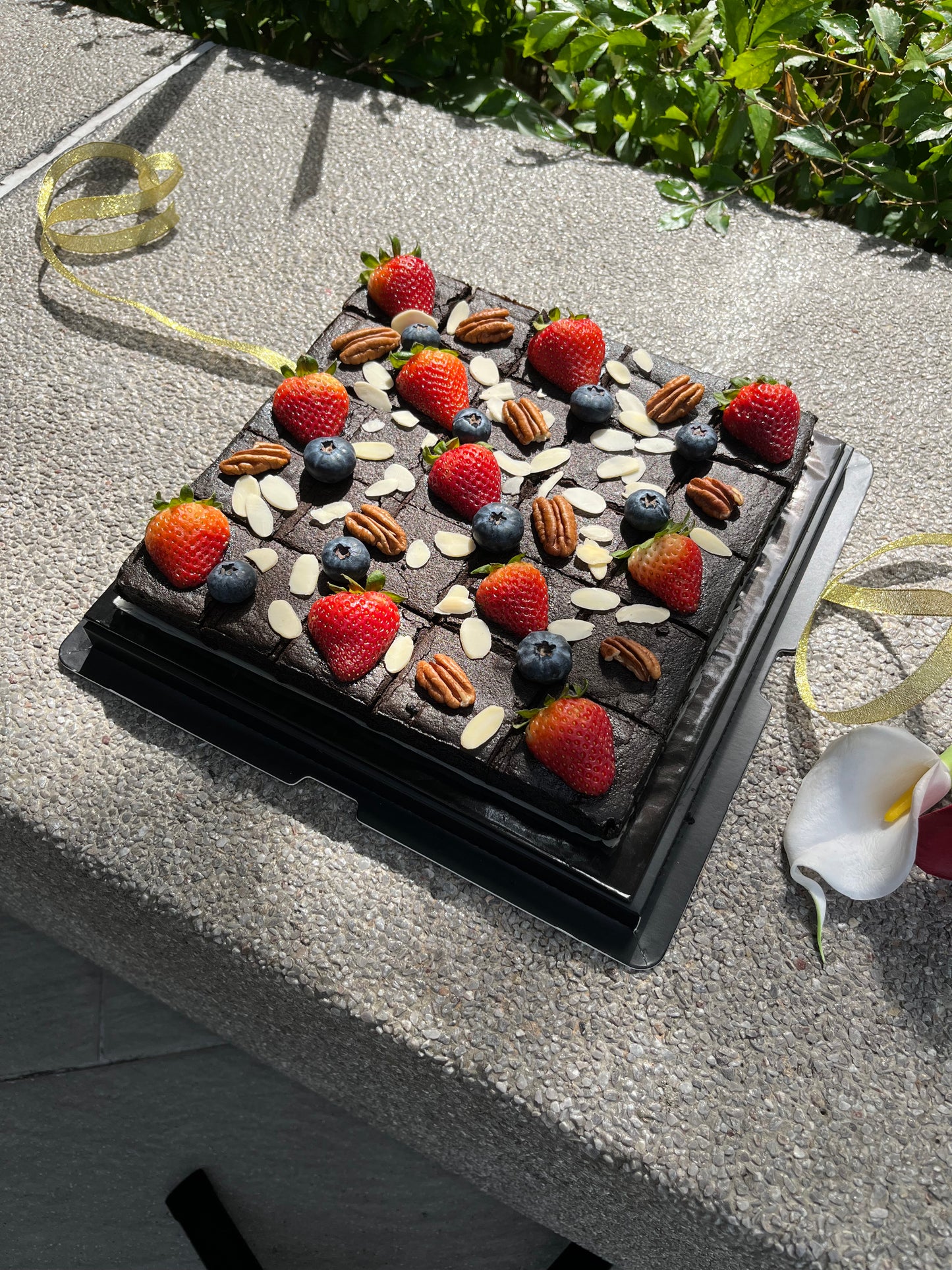 Sasha’s Signature Brownies