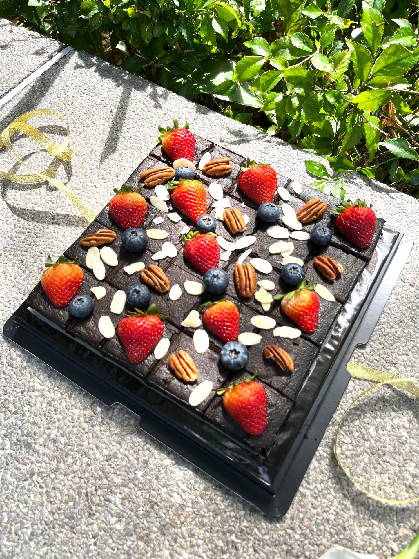 Sasha’s Signature Brownies