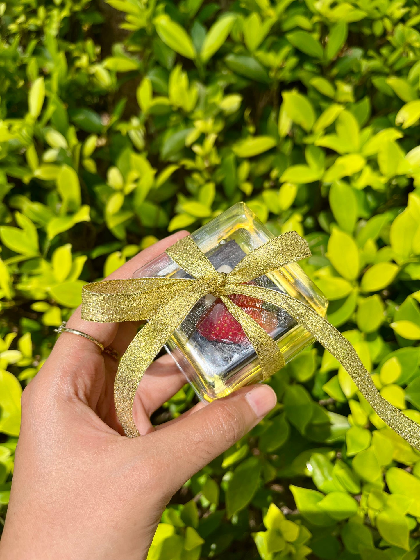 Sasha’s Signature Brownies