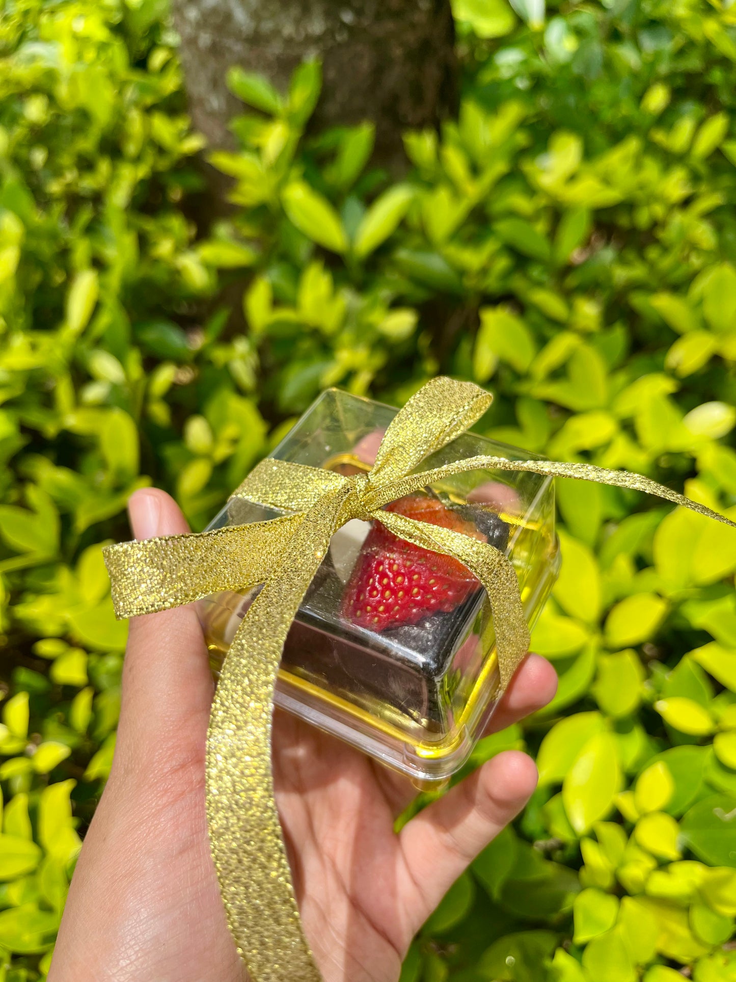 Sasha’s Signature Brownies