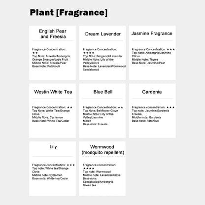 500ml Luxury Hotel Collection Fragrance Oil – Hilton & Ritz Carlton Inspired Aroma for Home & Spa