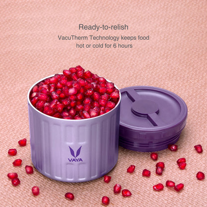 Preserve 300 ml - Vacuum Insulated Stainless Steel Meal Container, Salad Box, Meal Carrier, Portable Lunch Box, Fruit Box, 1 x 300 ml