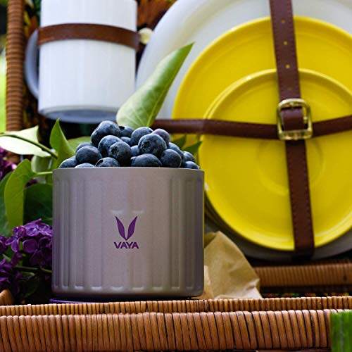 Preserve 300 ml - Vacuum Insulated Stainless Steel Meal Container, Salad Box, Meal Carrier, Portable Lunch Box, Fruit Box, 1 x 300 ml